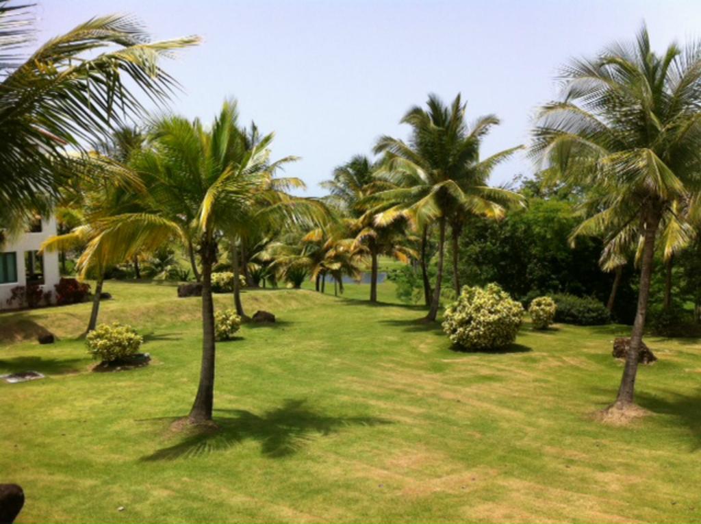 Rio Mar Village - Golf Course View Rio Grande Buitenkant foto