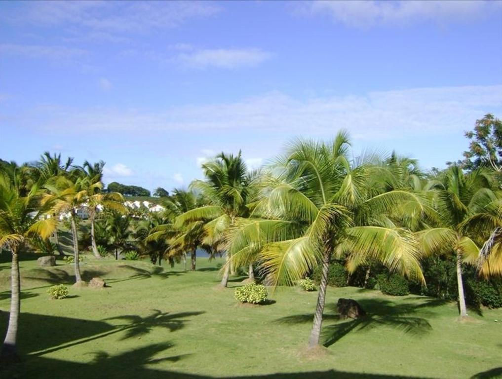Rio Mar Village - Golf Course View Rio Grande Buitenkant foto